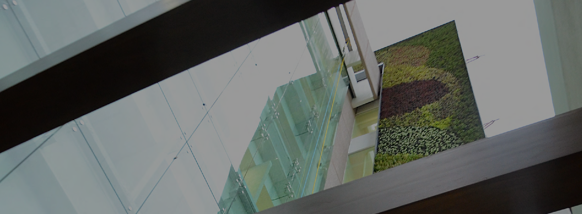 ECOSISTEMAS QUE VIVEN EN SIMBIOSIS CON EL ENTORNO URBANO