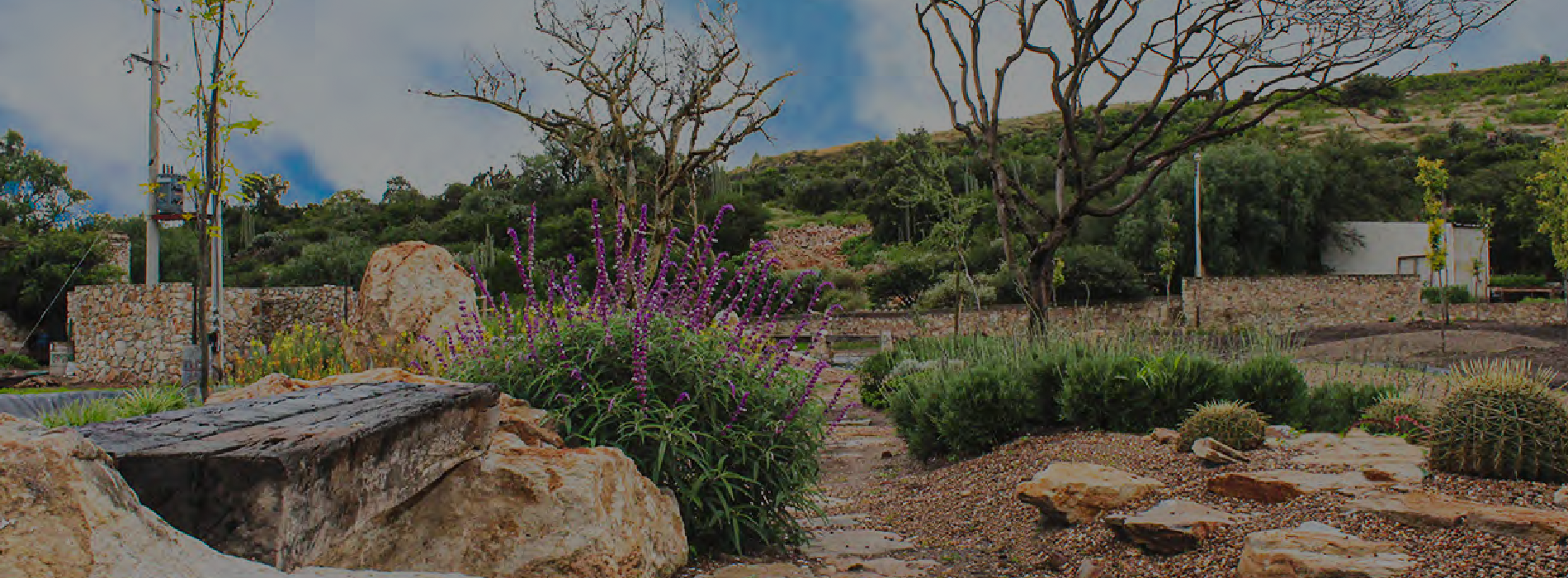 PROYECTOS DE ALTO IMPACTO A LA SOCIEDAD, LA TIERRA Y EL ENTORNO